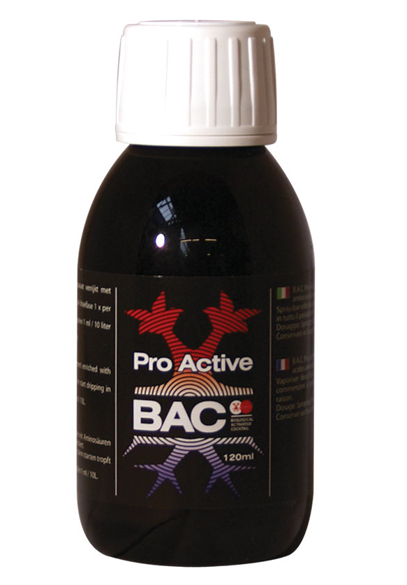 Pro 500 action. Foliar Spray Bac. B.A.C. foliar Spray 120 мл. Удобрение b.a.c Organic. Pro-Active 120мл.